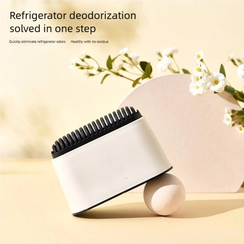 Fridge Deodorizer – Fresh Smelling Fridge