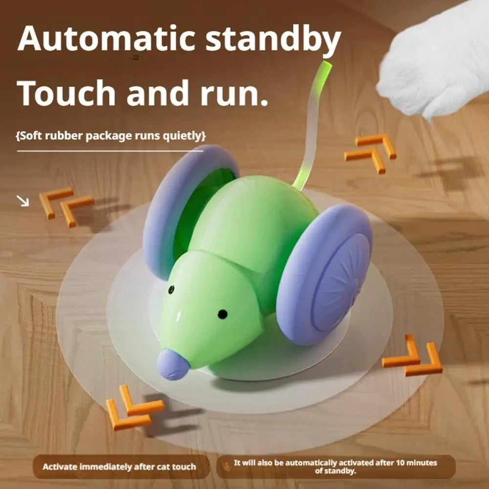 Interactive Pet Ball – Active Playtime